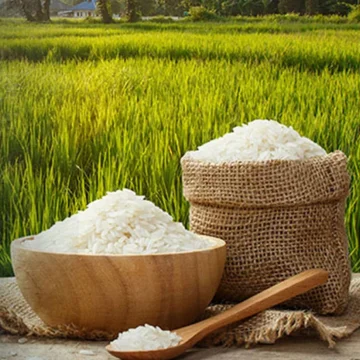 Agro & Food Products